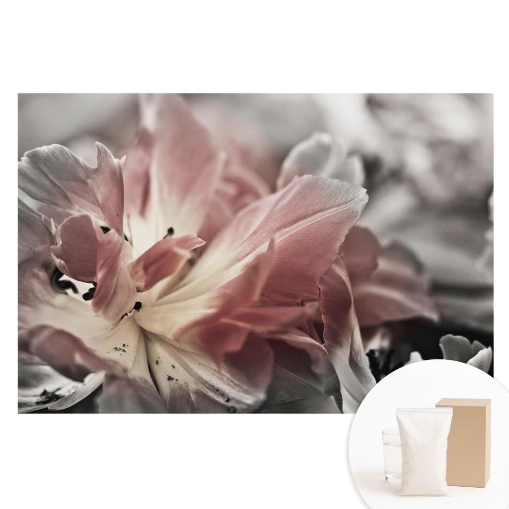 Fototapeta z nadrukiem na flizelinie Zbliżenie delikatnych kwiatowych płatków