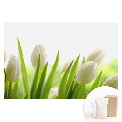 Tapeta fotograficzna na flizelinie Subtelne białe tulipany nowoczesna elegancja