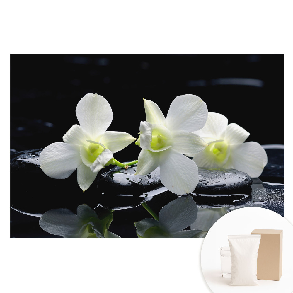 Fototapeta na flizelinie Białe orchidee na kamieniach.