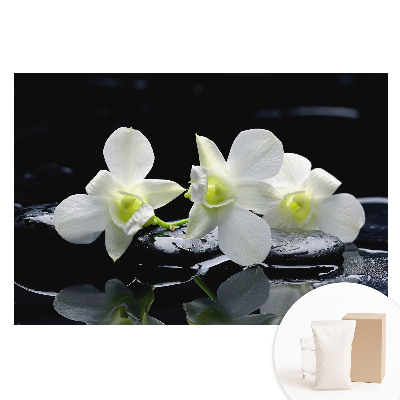Fototapeta na flizelinie Białe orchidee na kamieniach.