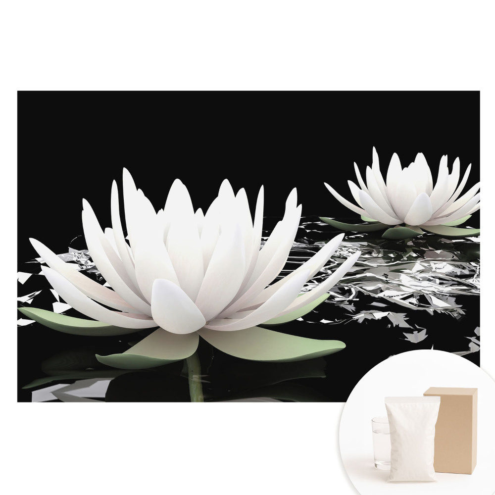 Tapeta fotograficzna flizelinowa Eleganckie lilie wodne na ciemnym tle