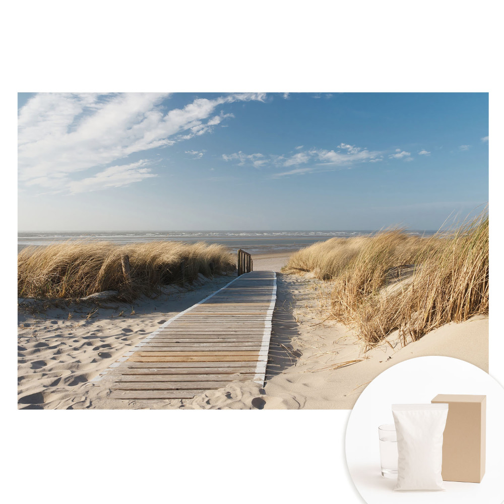 Fototapeta flizelinowa z nadrukiem Nadmorska ścieżka wśród wydm