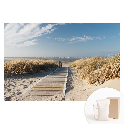 Fototapeta flizelinowa z nadrukiem Nadmorska ścieżka wśród wydm