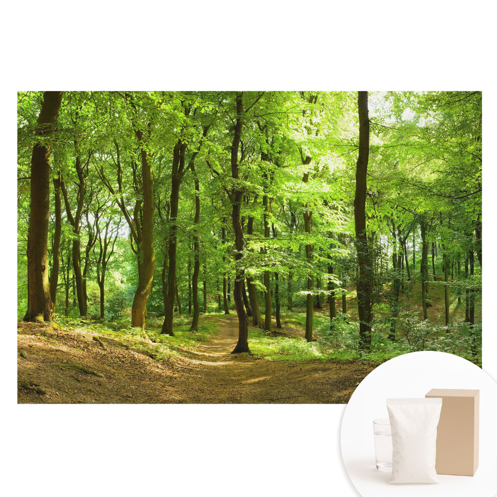 Fototapeta na flizelinie Świeży zielony las