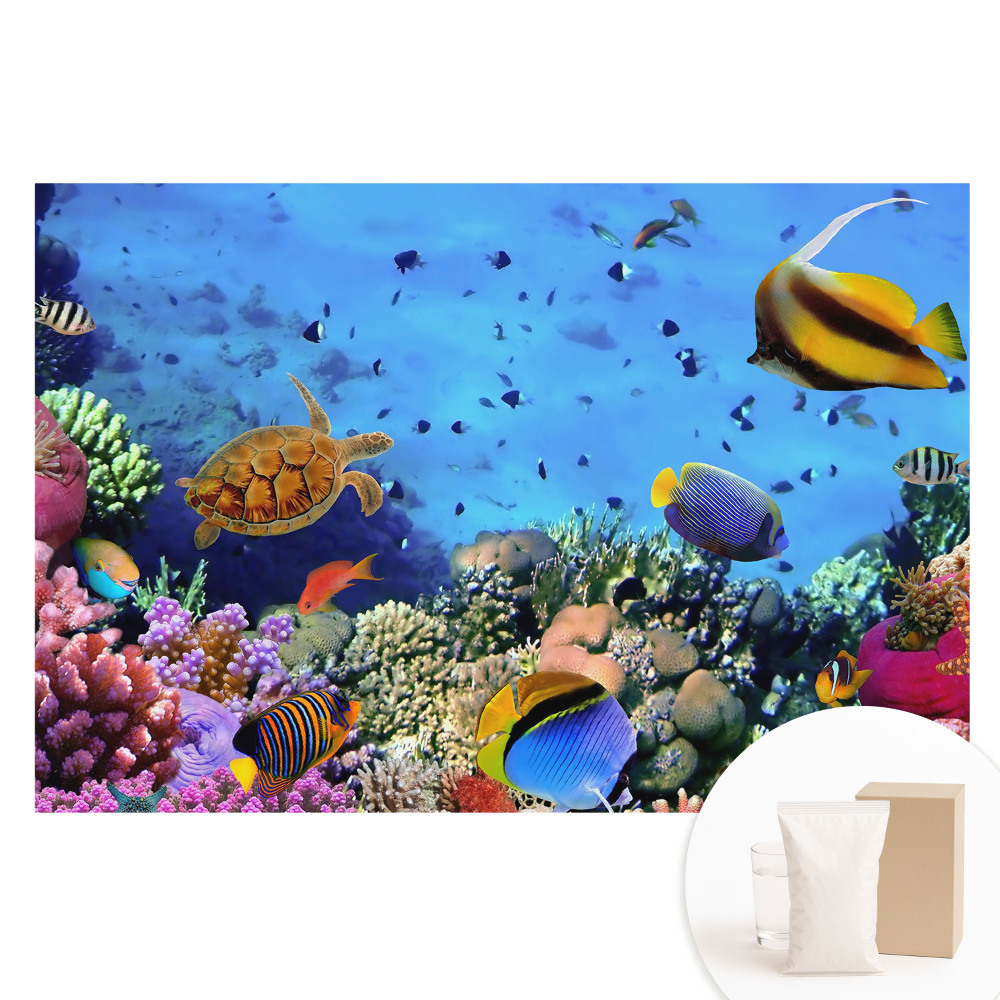 Tapeta fotograficzna flizelinowa Podwodny świat pełen koloru