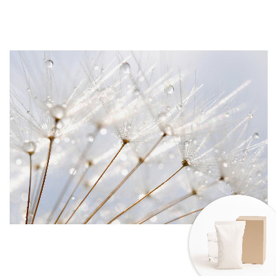 Fototapeta flizelinowa z nadrukiem Dmuchawiec z kroplami rosy