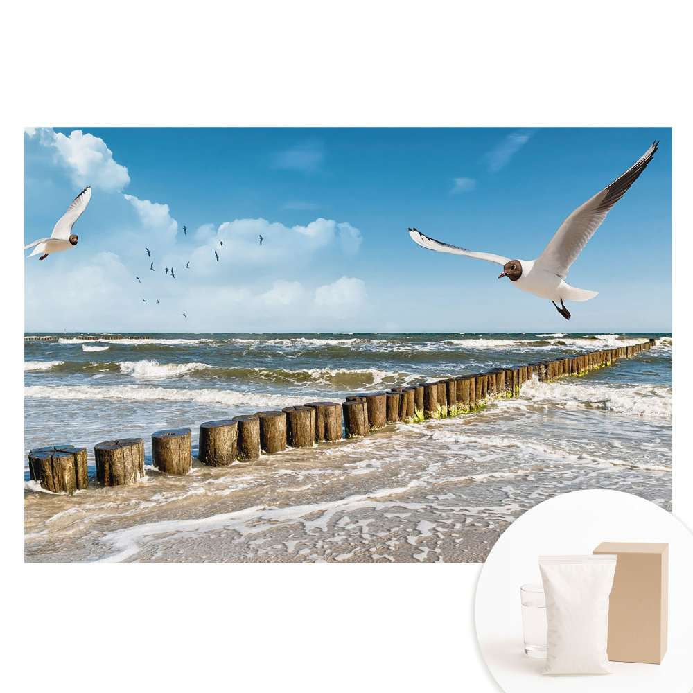 Duża fototapeta na ścianę Mewy nad morzem