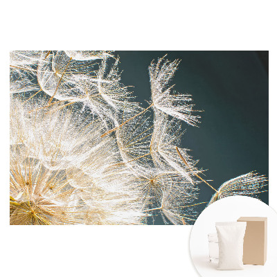 Fototapeta z nadrukiem na flizelinie Eteryczne nasiona delikatnego dmuchawca