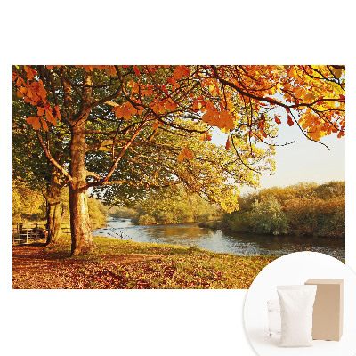 Fototapeta flizelinowa z nadrukiem Jesienny krajobraz rzeki spokojne kolory