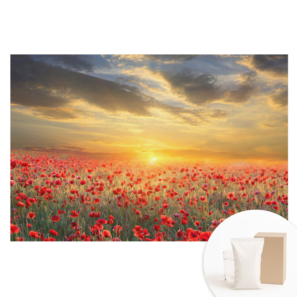 Tapeta fotograficzna flizelinowa Pole maków o poranku zachwycający zachód słońca