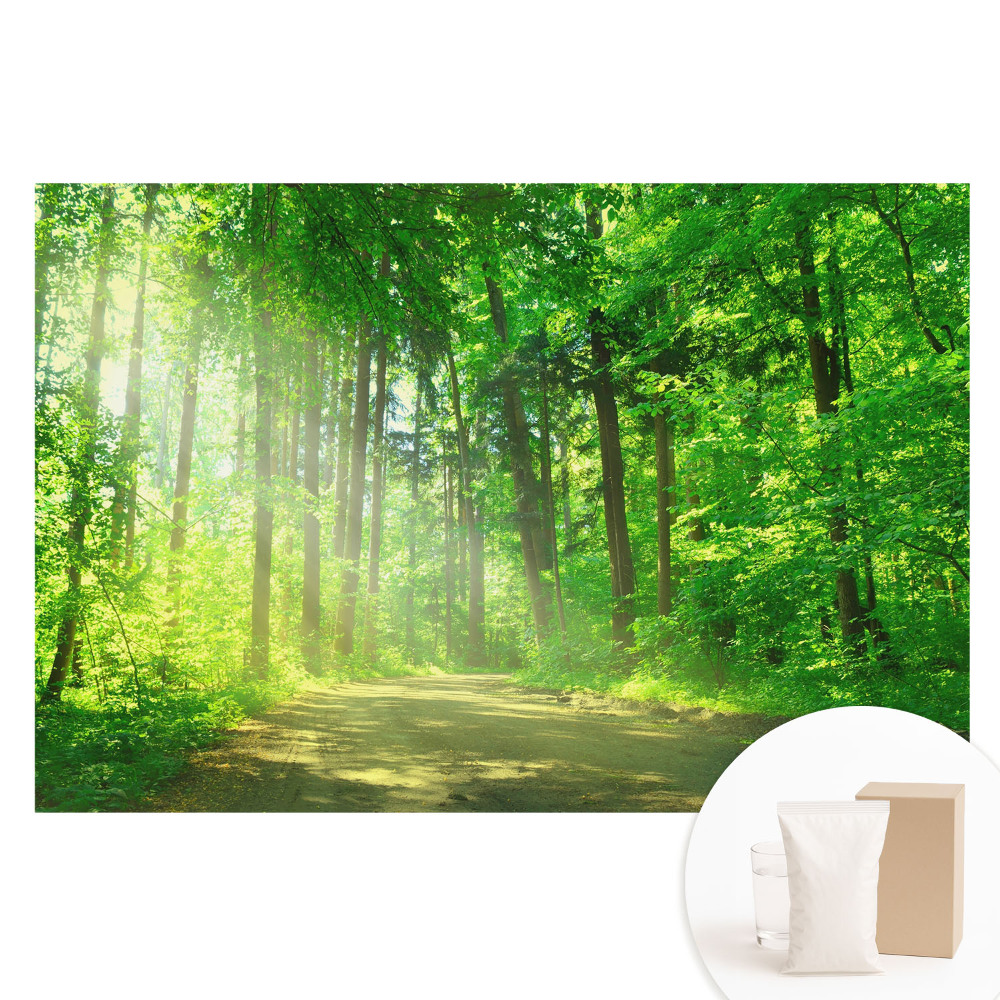 Fototapeta z nadrukiem na flizelinie Zielony las słońce spokój