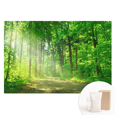 Fototapeta z nadrukiem na flizelinie Zielony las słońce spokój