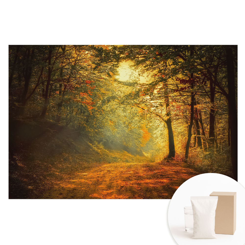 Fototapeta flizelinowa Magia jesiennego lasu