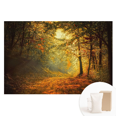 Fototapeta flizelinowa Magia jesiennego lasu