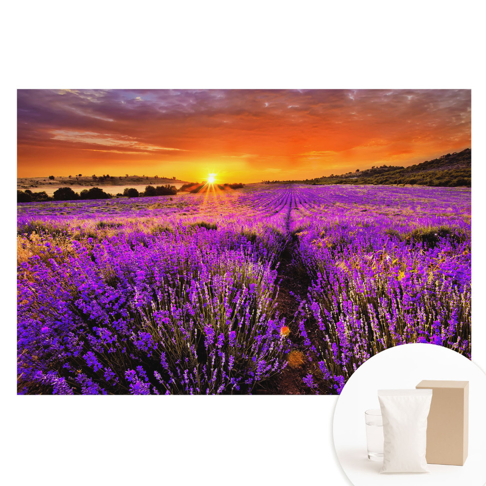 Fototapeta na flizelinie Pola lawendy zachód słońca