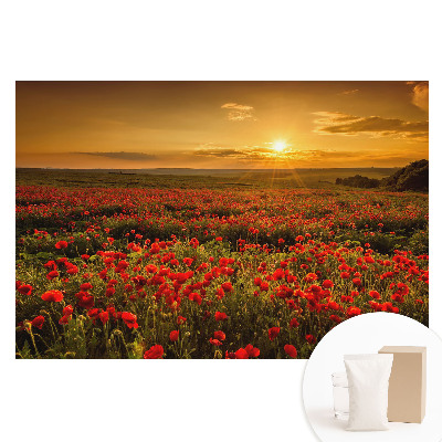 Tapeta fotograficzna na flizelinie Zachód słońca na polu maków