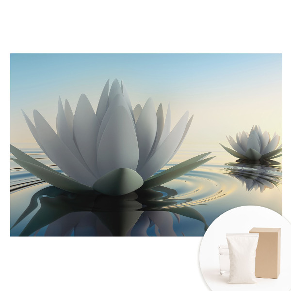 Fototapeta na flizelinie Delikatne lilie wodne harmonia wody