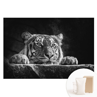 Fototapeta na flizelinie Tygrys w czerni i bieli