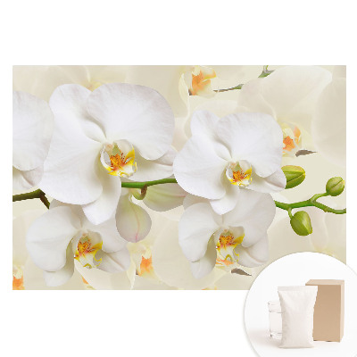 Fototapeta flizelinowa Białe orchidee nowoczesny styl świeżość