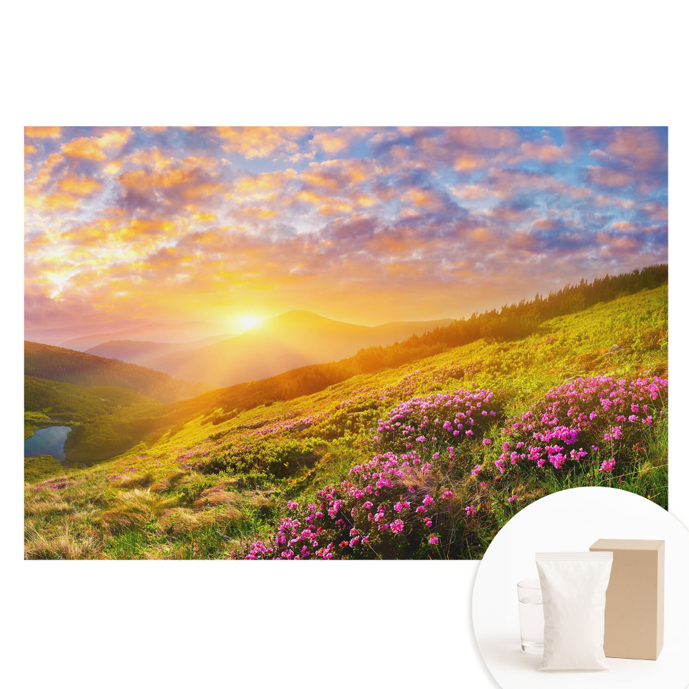 Fototapeta flizelinowa Zachód słońca góry kwiaty