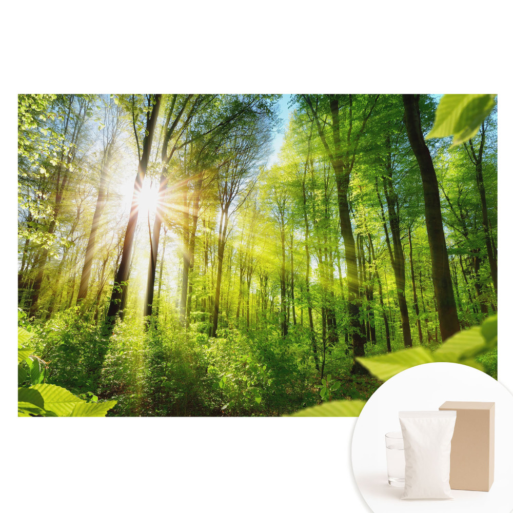 Fototapeta na flizelinie Leśny pejzaż blask słońca energia.