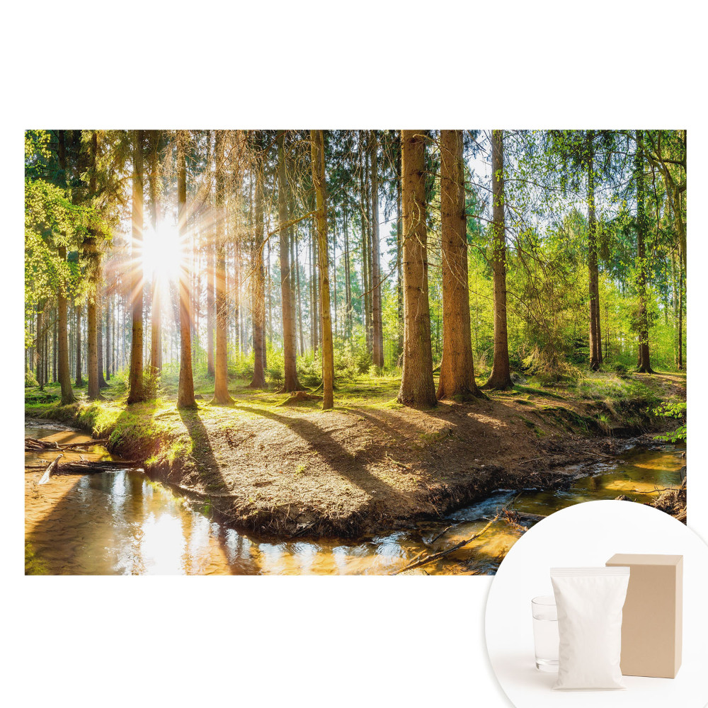 Fototapeta z nadrukiem na flizelinie Promienne słońce w leśnym krajobrazie