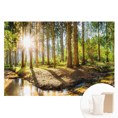 Fototapeta z nadrukiem na flizelinie Promienne słońce w leśnym krajobrazie