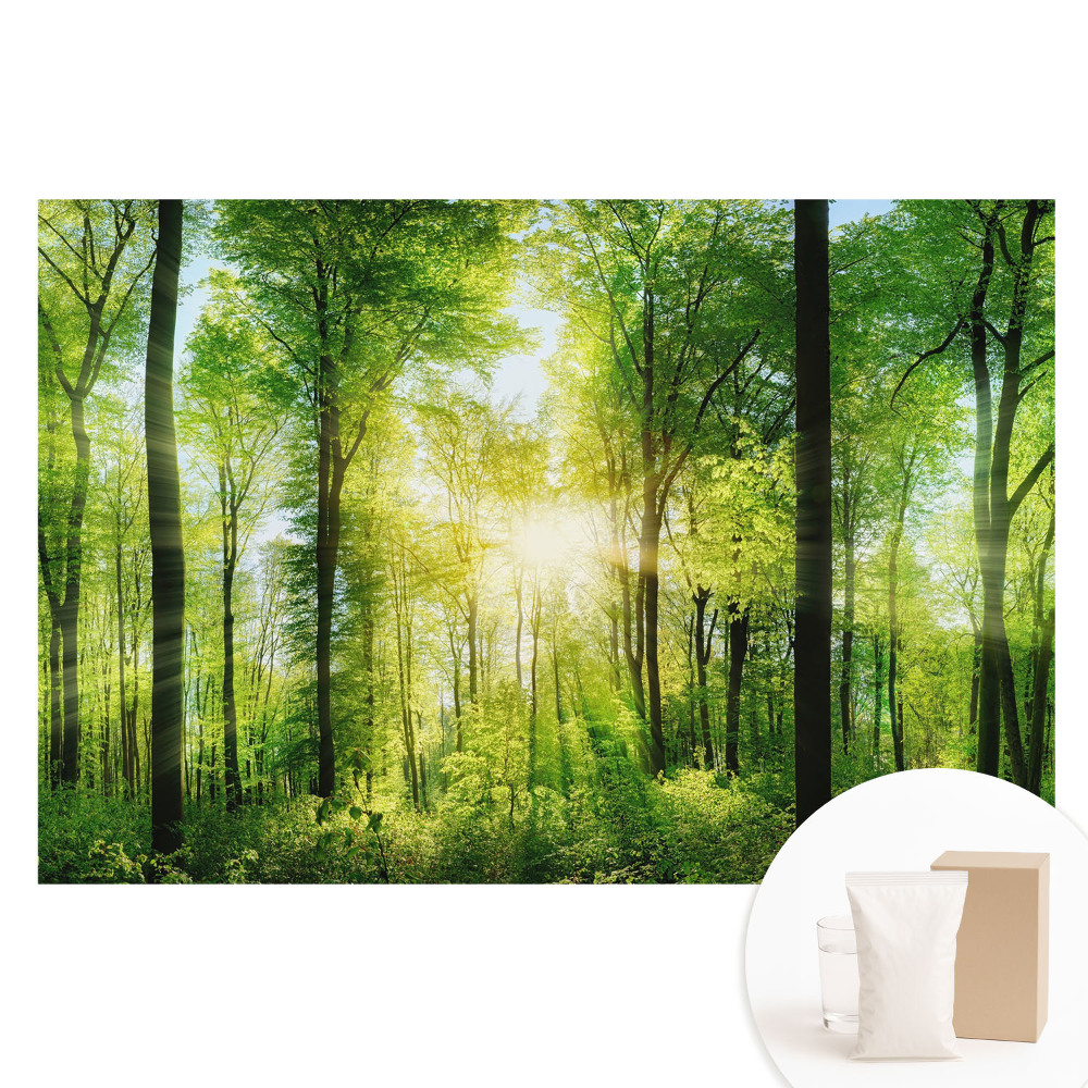 Fototapeta flizelinowa Zielony las w promieniach słońca