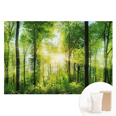 Fototapeta flizelinowa Zielony las w promieniach słońca