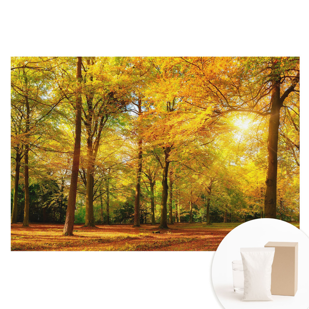 Fototapeta na flizelinie Jesienna panorama lasu pełna barwnych liści