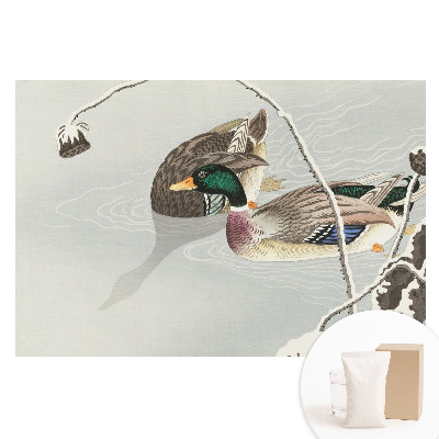 Fototapeta na flizelinie Dwie kaczki na wodzie w klasycznym stylu