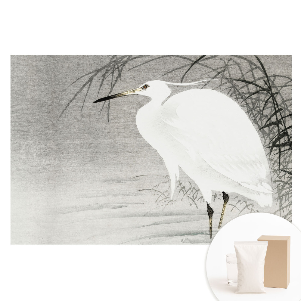 Fototapeta na flizelinie Czapla na tle trzcin