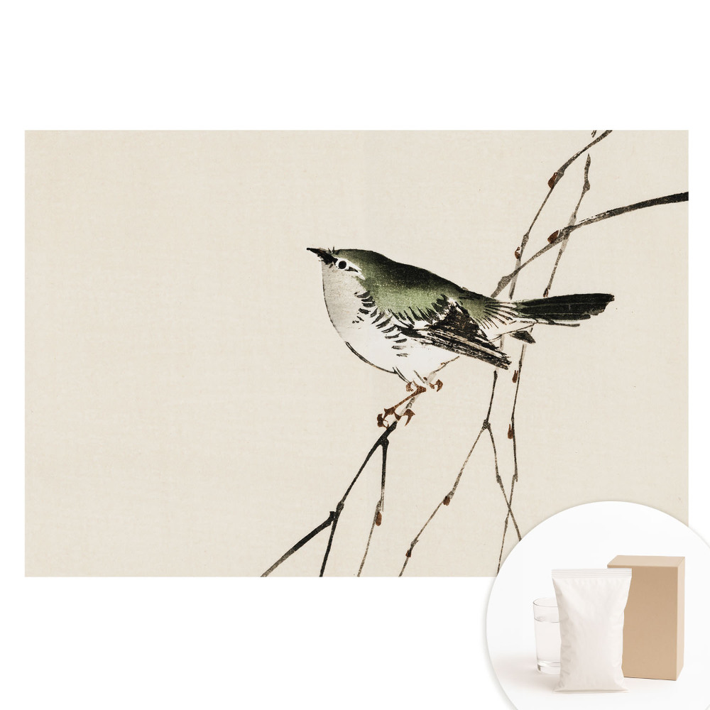 Fototapeta flizelinowa Ptak na gałęzi minimalizm harmonia.
