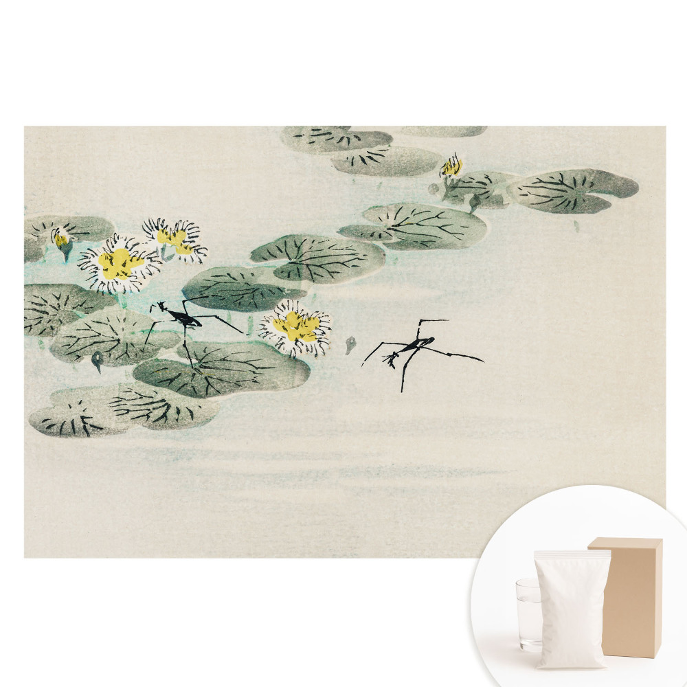 Tapeta fotograficzna flizelinowa Lilie wodne na tle wody