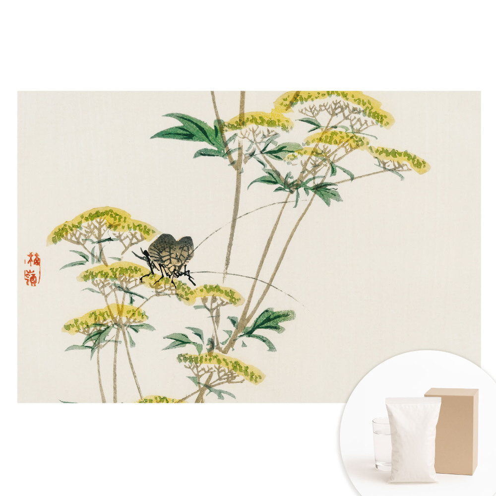 Fototapeta flizelinowa z nadrukiem Subtelne kwiaty owad harmonia natura