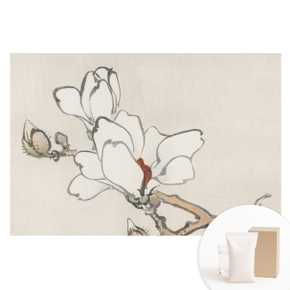 Fototapeta flizelinowa Klasyczne magnolie tuszem