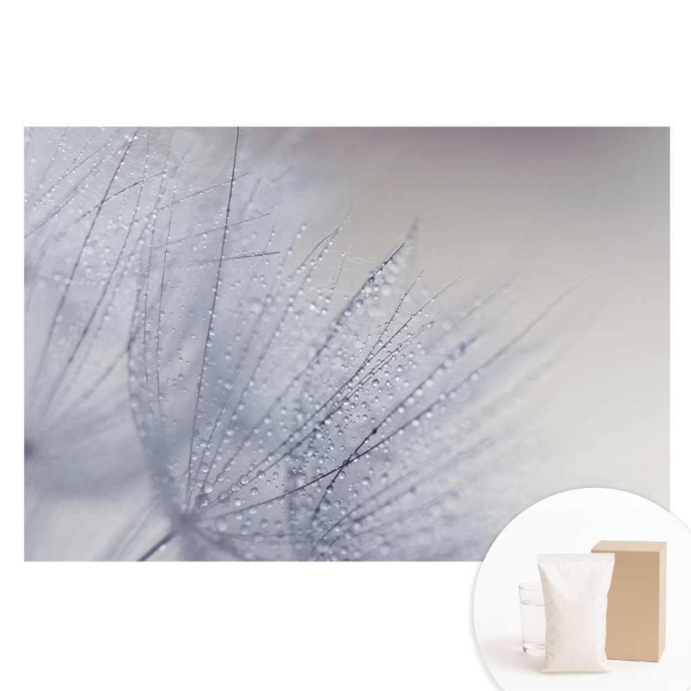 Fototapeta flizelinowa Makro kropel na włóknach dmuchawca