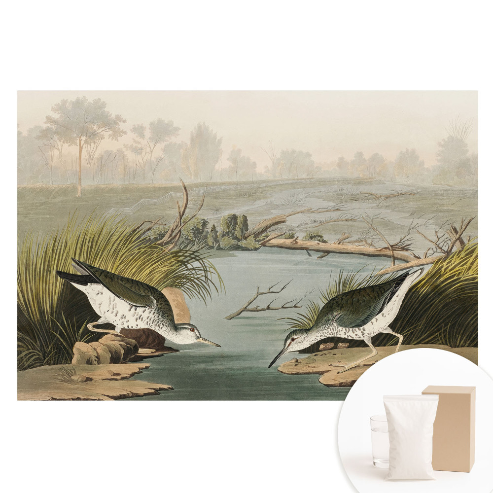 Fototapeta flizelinowa z nadrukiem Ptaki nad jeziorem harmonia natury