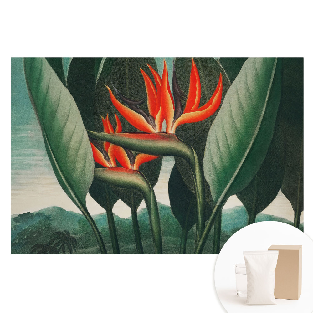 Fototapeta na flizelinie Egzotyczne rośliny na tle zieleni