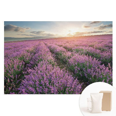 Fototapeta na flizelinie Fioletowe lawendy zachód słońca