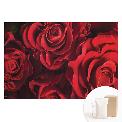 Tapeta fotograficzna flizelinowa Czerwone róże harmonijnie eleganckie