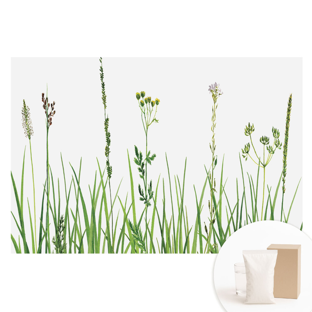 Fototapeta flizelinowa z nadrukiem Polne kwiaty i trawy akwarela harmonia natury