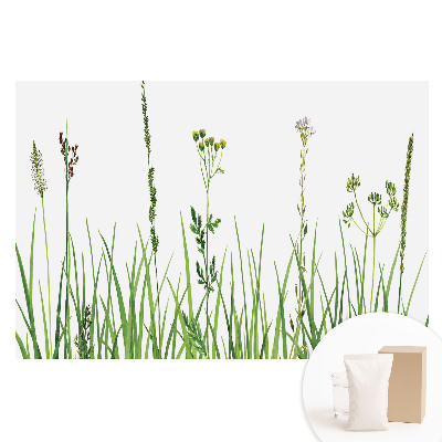 Fototapeta flizelinowa z nadrukiem Polne kwiaty i trawy akwarela harmonia natury