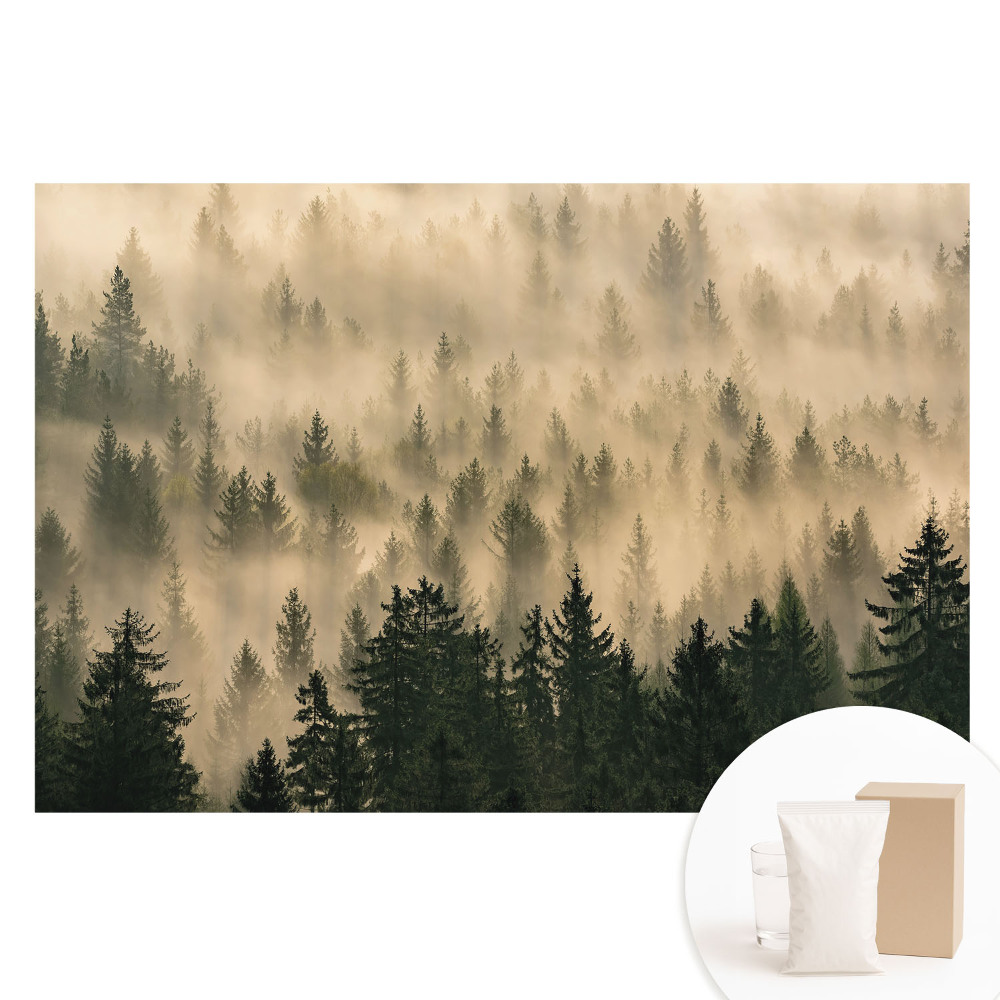 Tapeta fotograficzna flizelinowa Las w porannej mgle