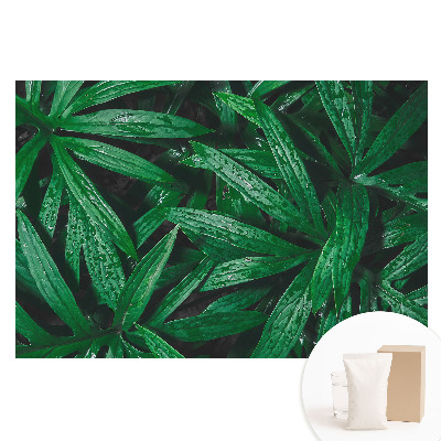 Fototapeta flizelinowa Liście w bliskim ujęciu