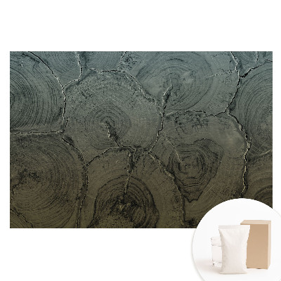 Duża fototapeta na ścianę Szare słoje drewna klasyczny wzór