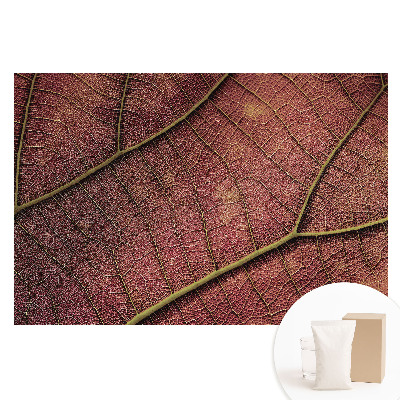 Duża fototapeta na ścianę Struktura liścia pełna detali i kolorów