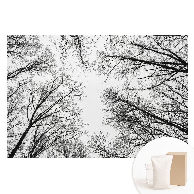 Fototapeta na flizelinie Czarno-białe zimowe drzewa