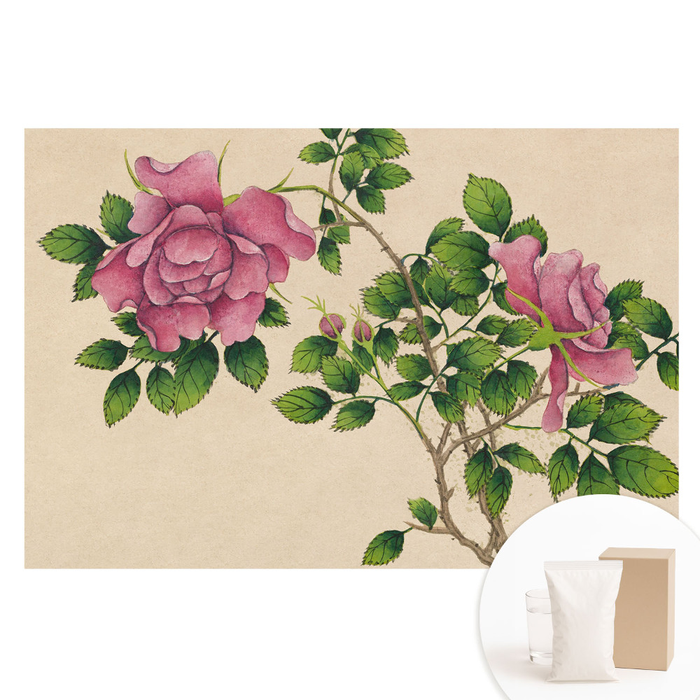 Fototapeta flizelinowa Różane piękno w klasycznym stylu