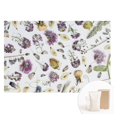 Fototapeta flizelinowa z nadrukiem Zasuszone kwiaty na białym tle